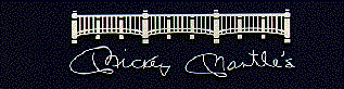 mmrest04.gif (9655 bytes)